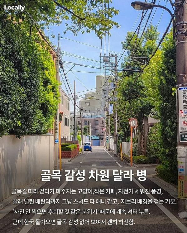 일본 여행 갔다오면 걸린다는 병
