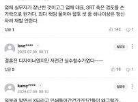 SRT 일장기 논란