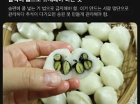 서울대생들이 말하는 추석날 법으로 금지해야 하는 행위
