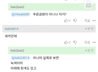 펌 치즈에 난 곰팡이는 먹어두되지