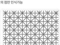 이 그림에는 12개의 점이 있고 당신은