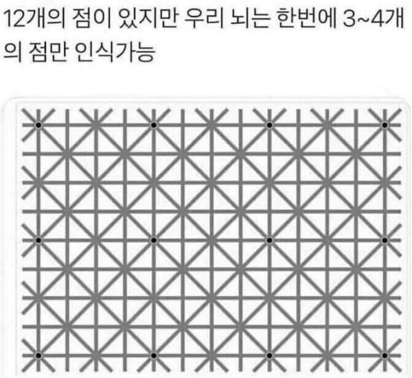 이 그림에는 12개의 점이 있고 당신은