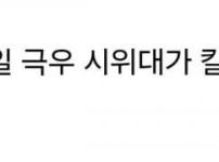 사슬 갑옷 착용한 독일 경찰