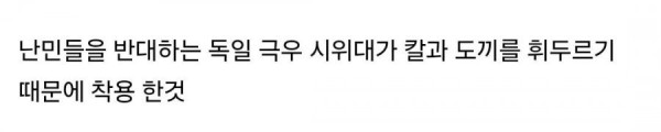 사슬 갑옷 착용한 독일 경찰