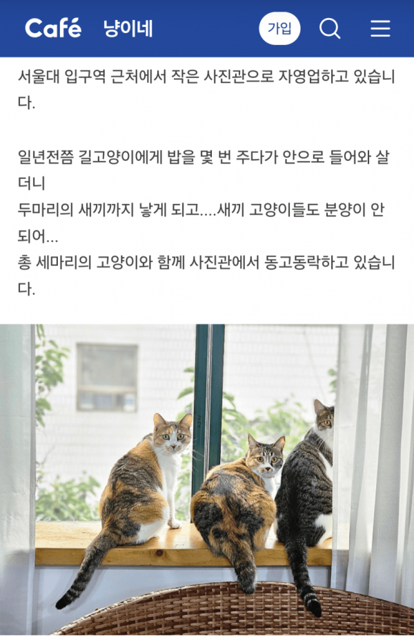 고양이가 가방을 긁었는데 손해배상 관련