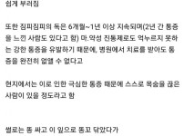 한번이라도 손대면 ㅈ되는 호주 식물