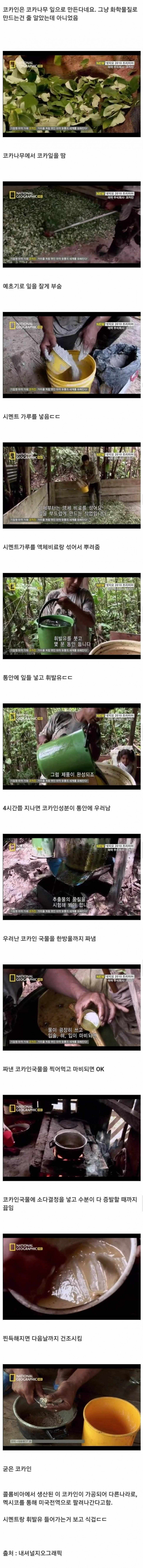 코카나무 잎으로 코카인 만드는 과정