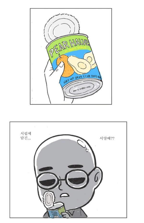 파인애플 피자에 대한 시선이 바뀌는 만화