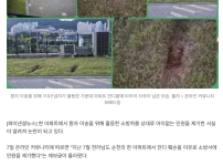 손흥민 MLS 한국 중계에 대해서 알아보자환자 이송을 위해 출동한 소방차 상대로 잔디 훼손 민원 제기한 아파트