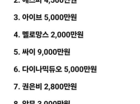 2025년 대학교 축제 가수 섭외 금액