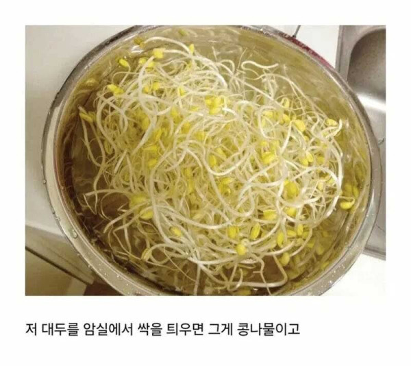 반박할 수 없는 동아시아 최고의 식재료