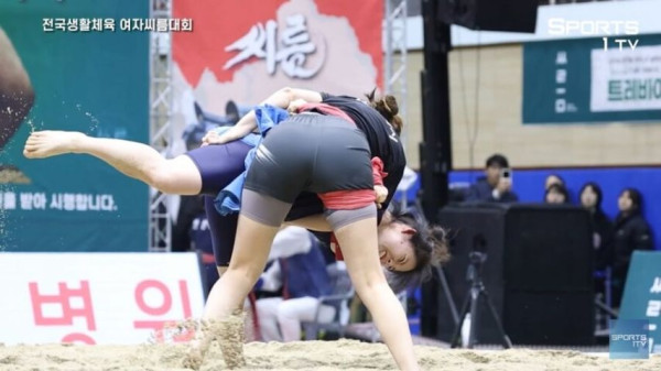 특이점이 온 생활체육 여자씨름대회 근황