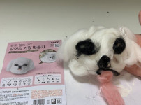 강아지 키링 만들기 대참사
