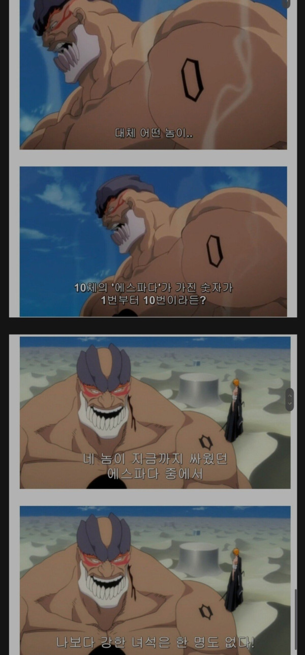 블리치 차드의 강함 묘사 요약