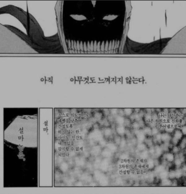 블리치 차드의 강함 묘사 요약