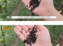 헬창계의 게임체인저 나왔다 ㄷㄷ
