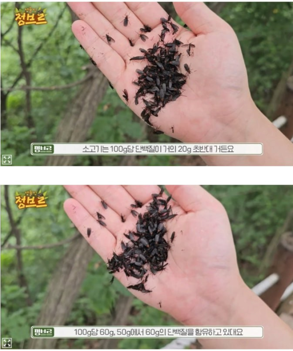 헬창계의 게임체인저 나왔다 ㄷㄷ
