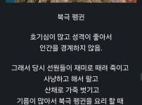 의외로 북극에 살았던 동물