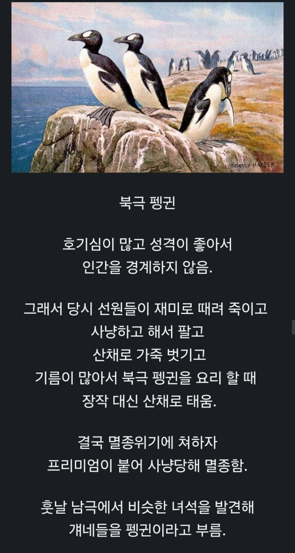 의외로 북극에 살았던 동물