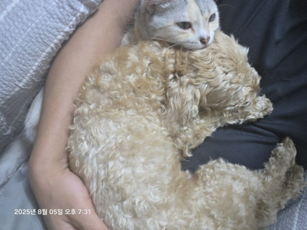 실시간 논란중인 멍갤러