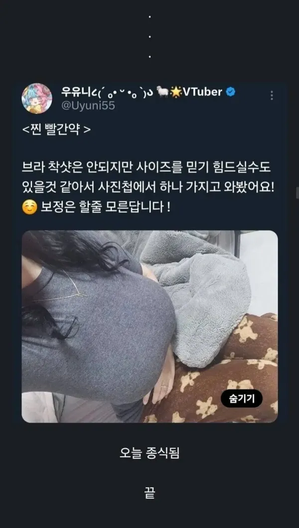 M컵을 인증한 버튜버