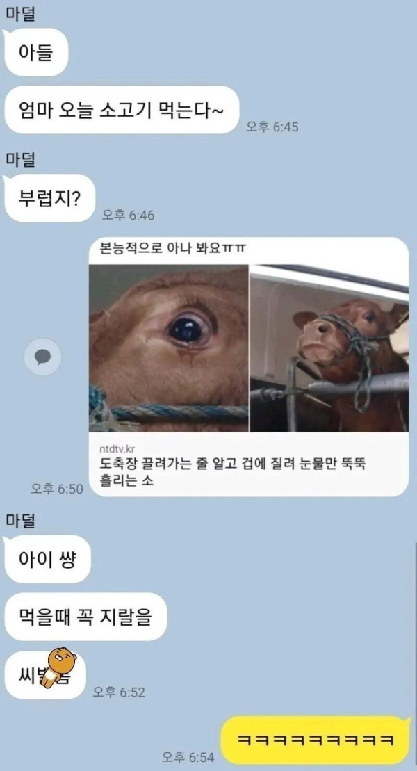 금쪽이 아들과의 카톡