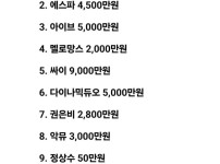 25년 대학축제 가수 섭외 비용