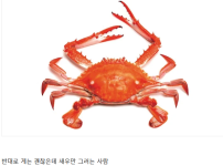 갑각류 알러지가 정말 빡치는 이유 ㄷㄷ