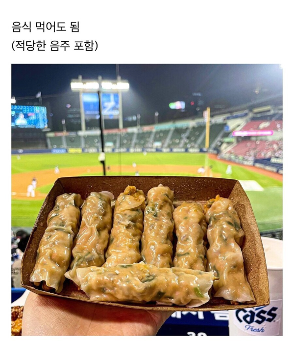 한국에서 야구 직관이 메이저가 될 수 있었던 이유