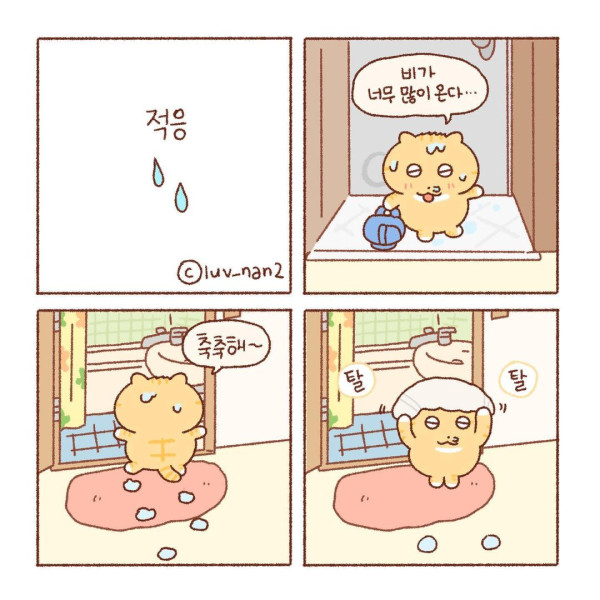 콩물이의 우산 없는 날