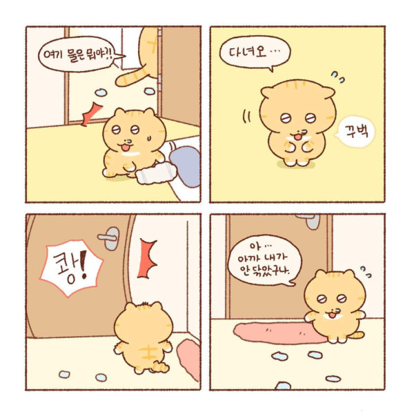 콩물이의 우산 없는 날