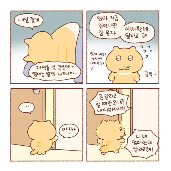 콩물이의 우산 없는 날