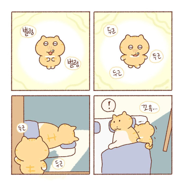 콩물이의 우산 없는 날