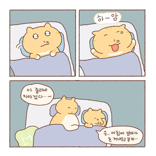 콩물이의 우산 없는 날