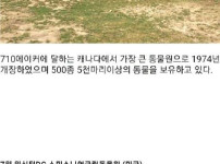  세계에서 가장 큰 동물원 top20