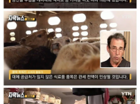 트럼프 관세 때문에 소래포구화 된 미국