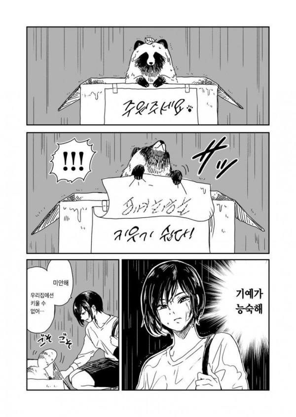 비 오는 날 개를 주은 여자