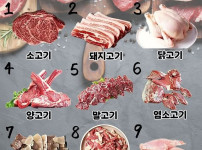 이 중에서 먹어본 고기 종류는
