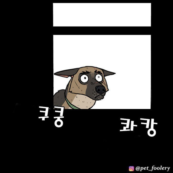 은퇴한 군견과 새끼고양이