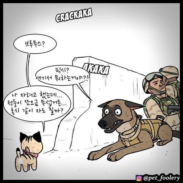 은퇴한 군견과 새끼고양이