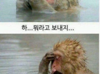 싱글이세요