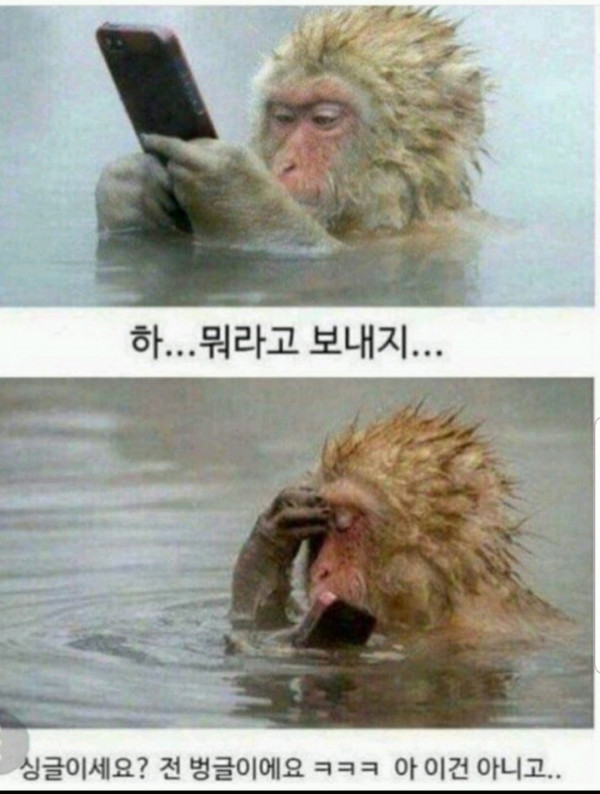 싱글이세요