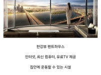 1년 버티면 5억