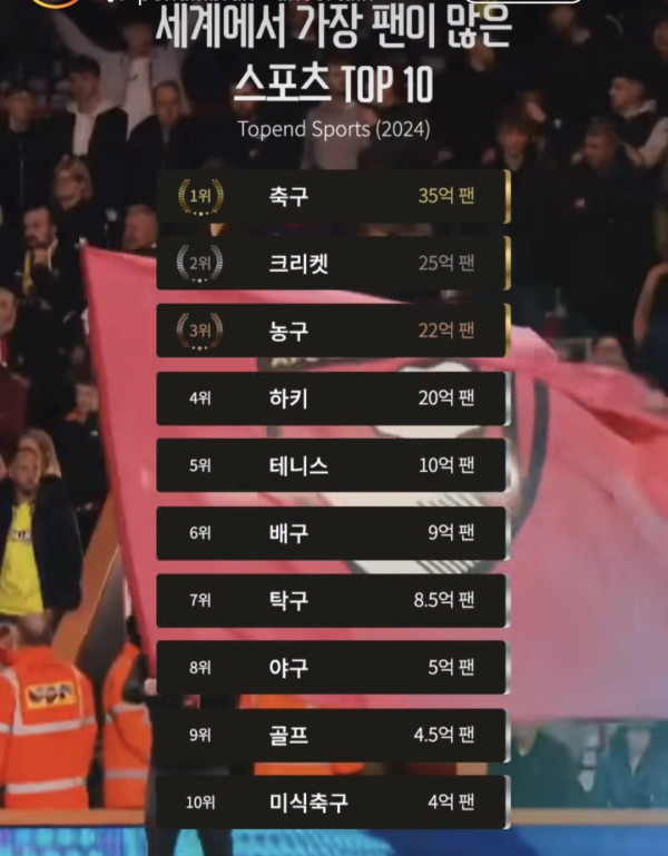 세계에서 가장 팬이 많은 스포츠 TOP 10