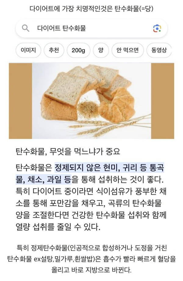파스타가 다이어트에 도움이 되는 이유