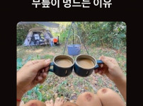 이유가 뭐죠?
