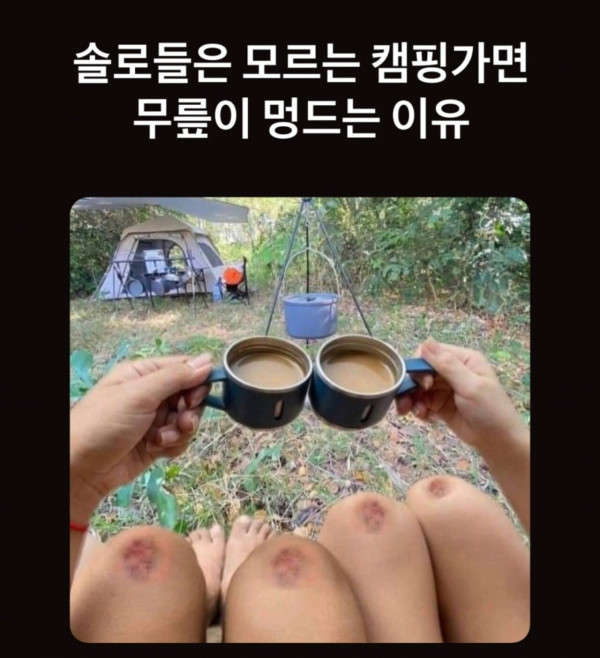 이유가 뭐죠?