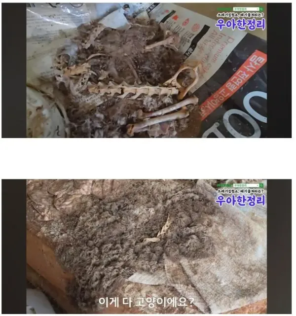 청소비만 2천만원 나온 역대급 집.jpg