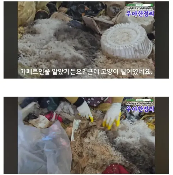 청소비만 2천만원 나온 역대급 집.jpg
