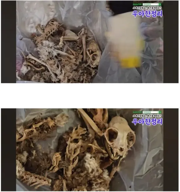 청소비만 2천만원 나온 역대급 집.jpg